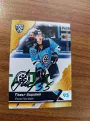 Сибирь Новосибирск,Воробей Павел.