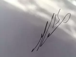 Д73... Динамо Москва....Карсумс Мартиньш.