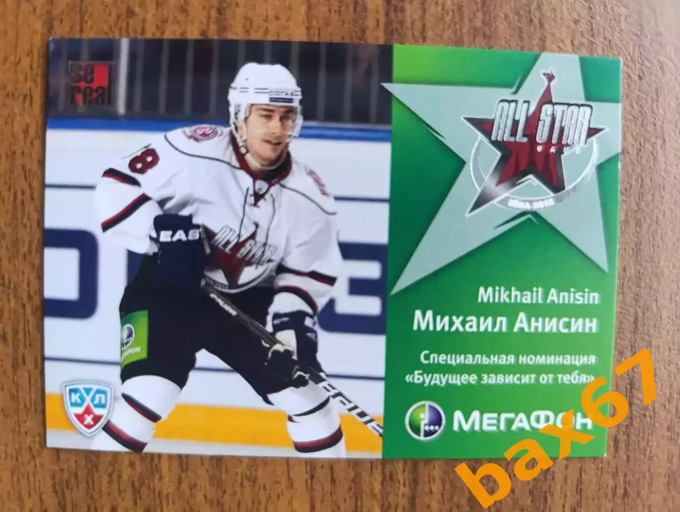 Анисин Михаил,Витязь.....ф57