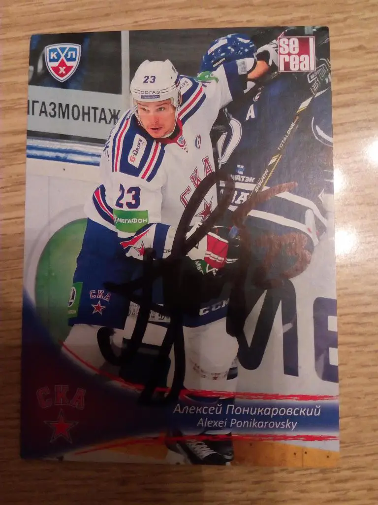 Поникаровский Алексей Ска Санкт-Петербург.