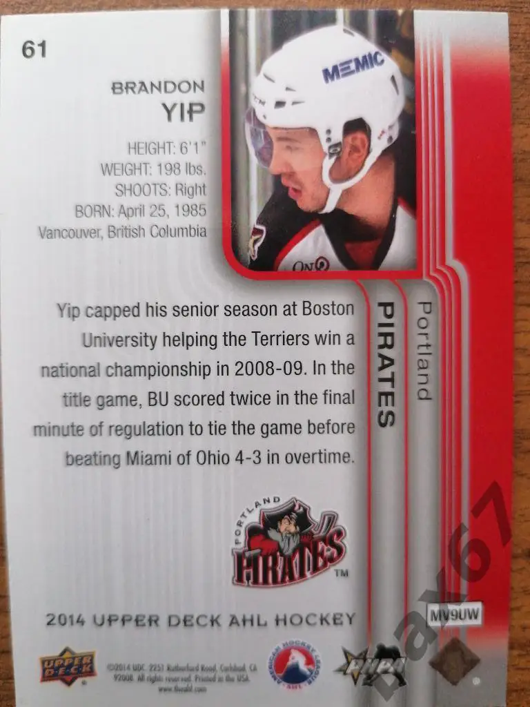 Ип Брэндон 1