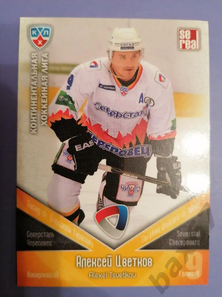 Цветков Алексей Северсталь Череповец,ф42