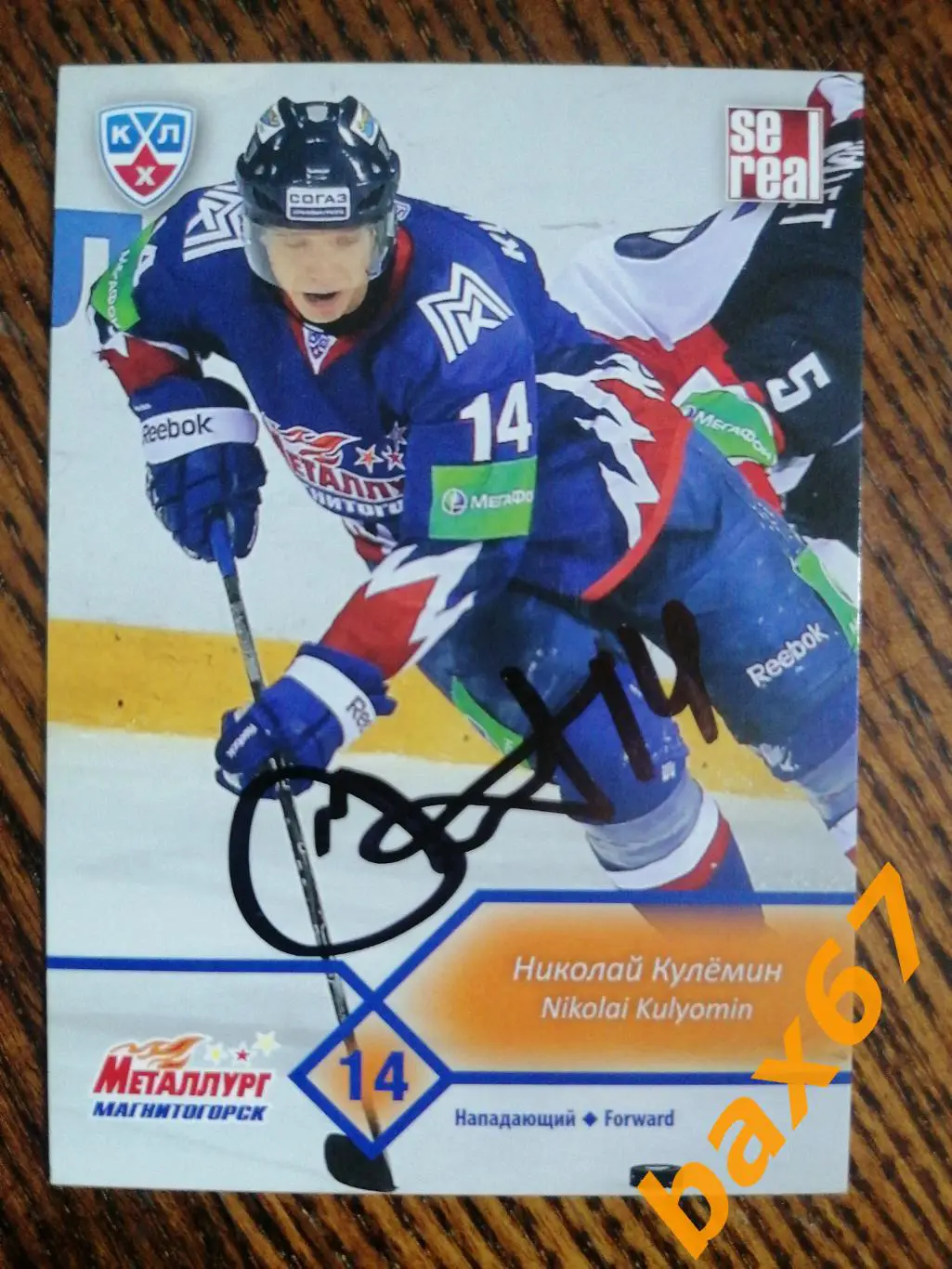 Кулемин Николай Металлург Магнитогорск,э13