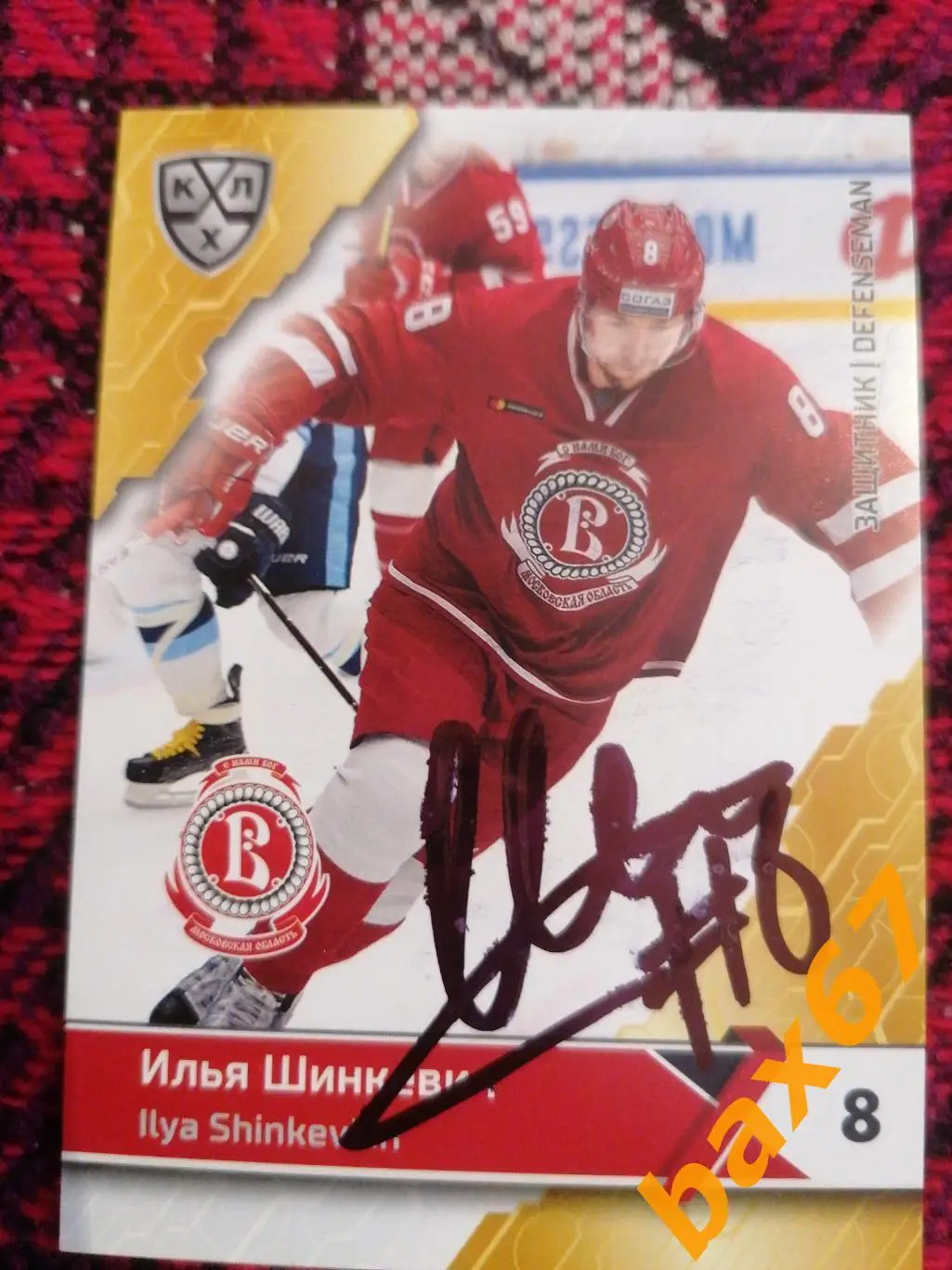 Шинкевич Илья Витязь Московская область.э20