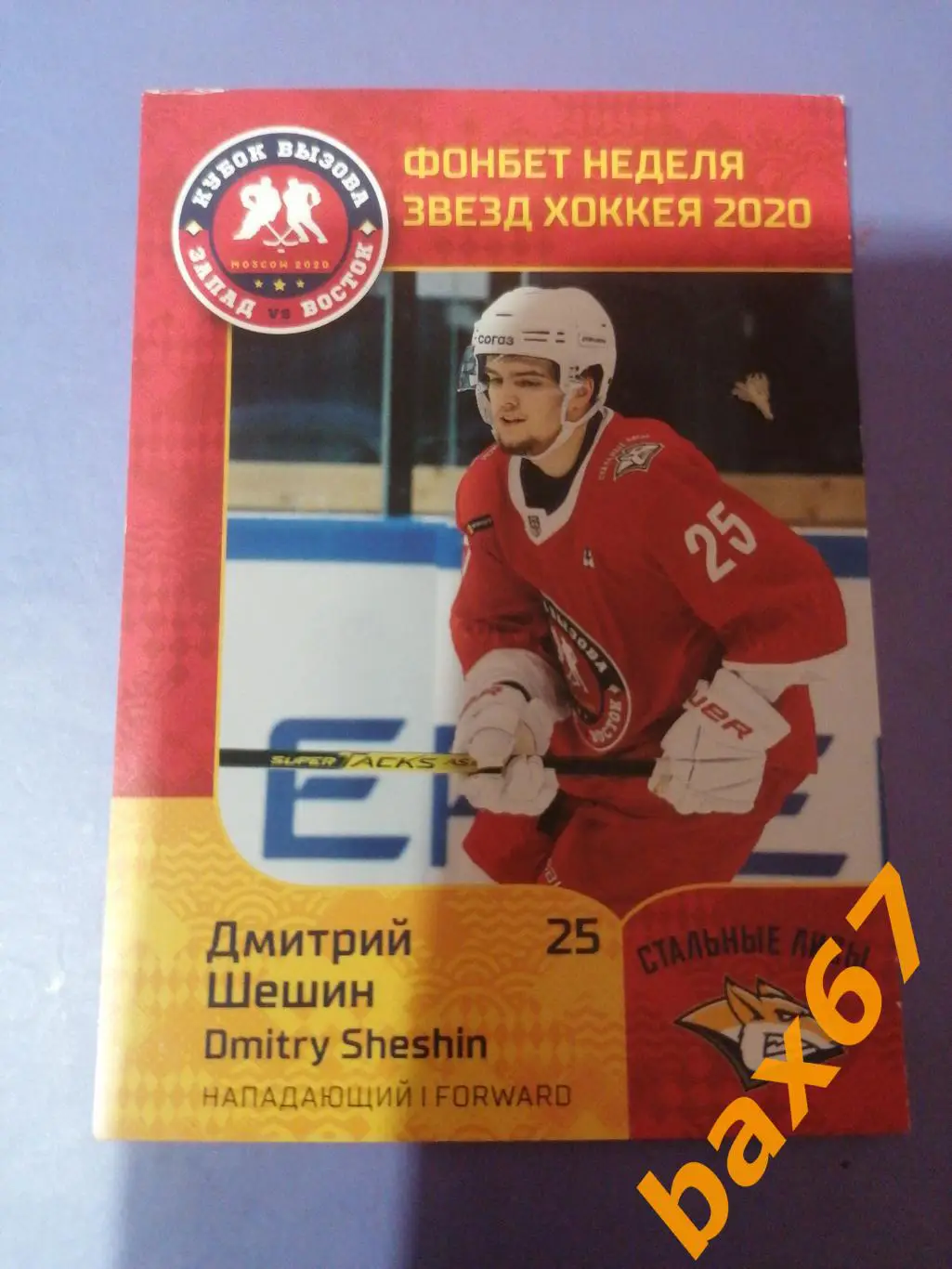 Шешин Дмитрий, Стальные лисы Магнитогорск