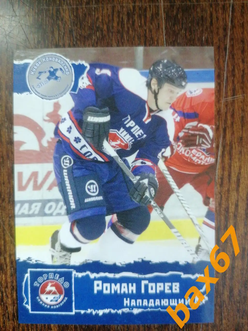 Торпедо Нижний Новгород, Горев Роман, ф-15