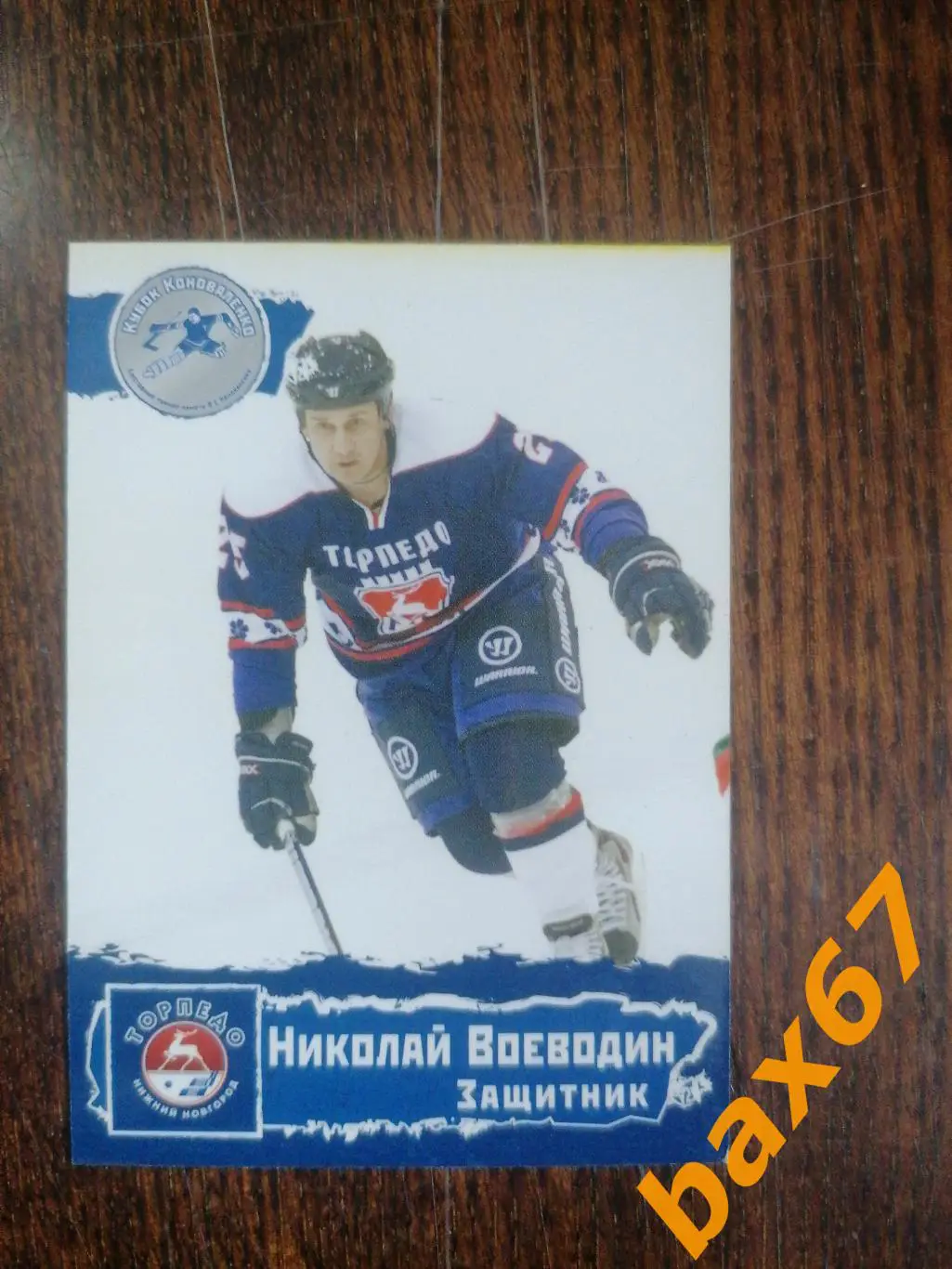 Торпедо Нижний Новгород, Воеводин Николай , ф-15