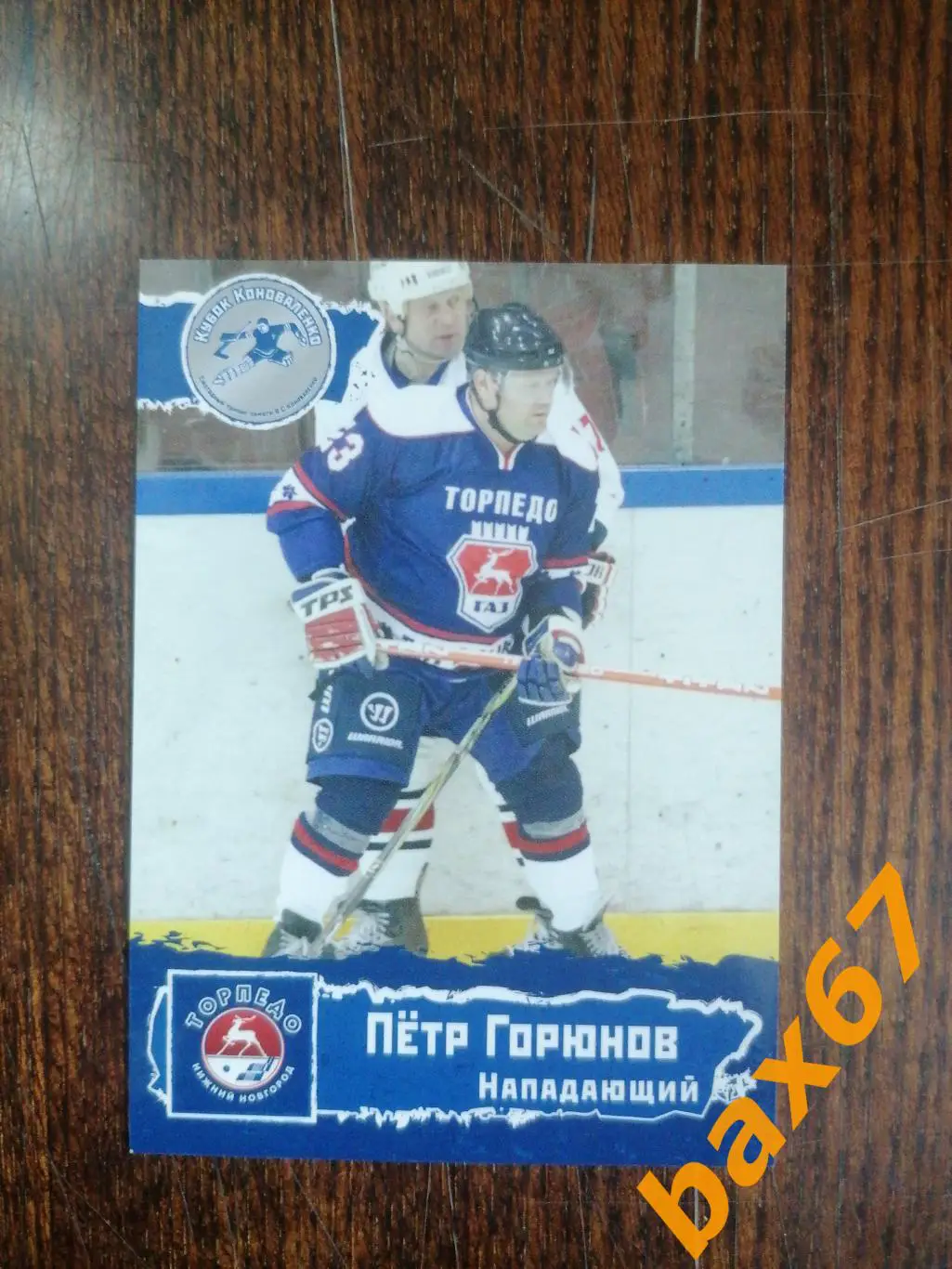 Торпедо Нижний Новгород, Горюнов Петр , ф-15