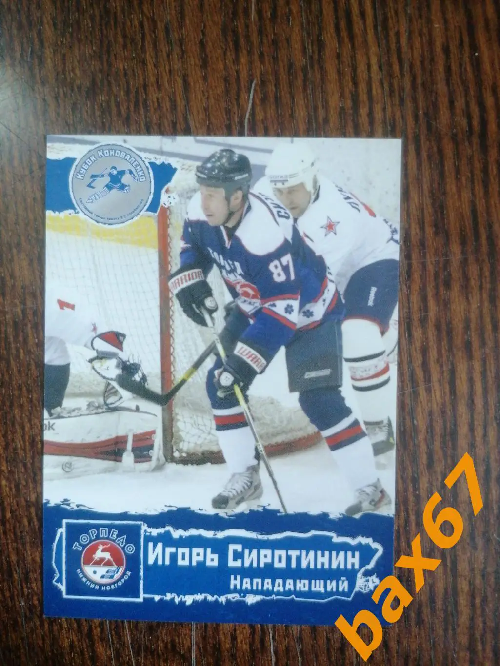 Торпедо Нижний Новгород, Сиротинин Игорь, ф-15