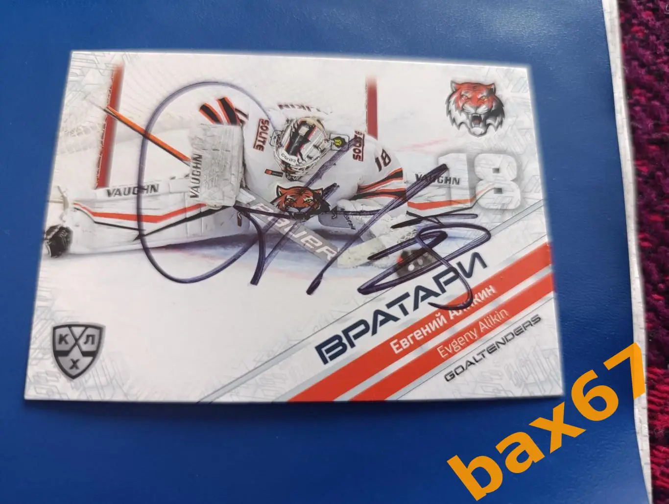 К20, Амур Хабаровск,Аликин Евгений