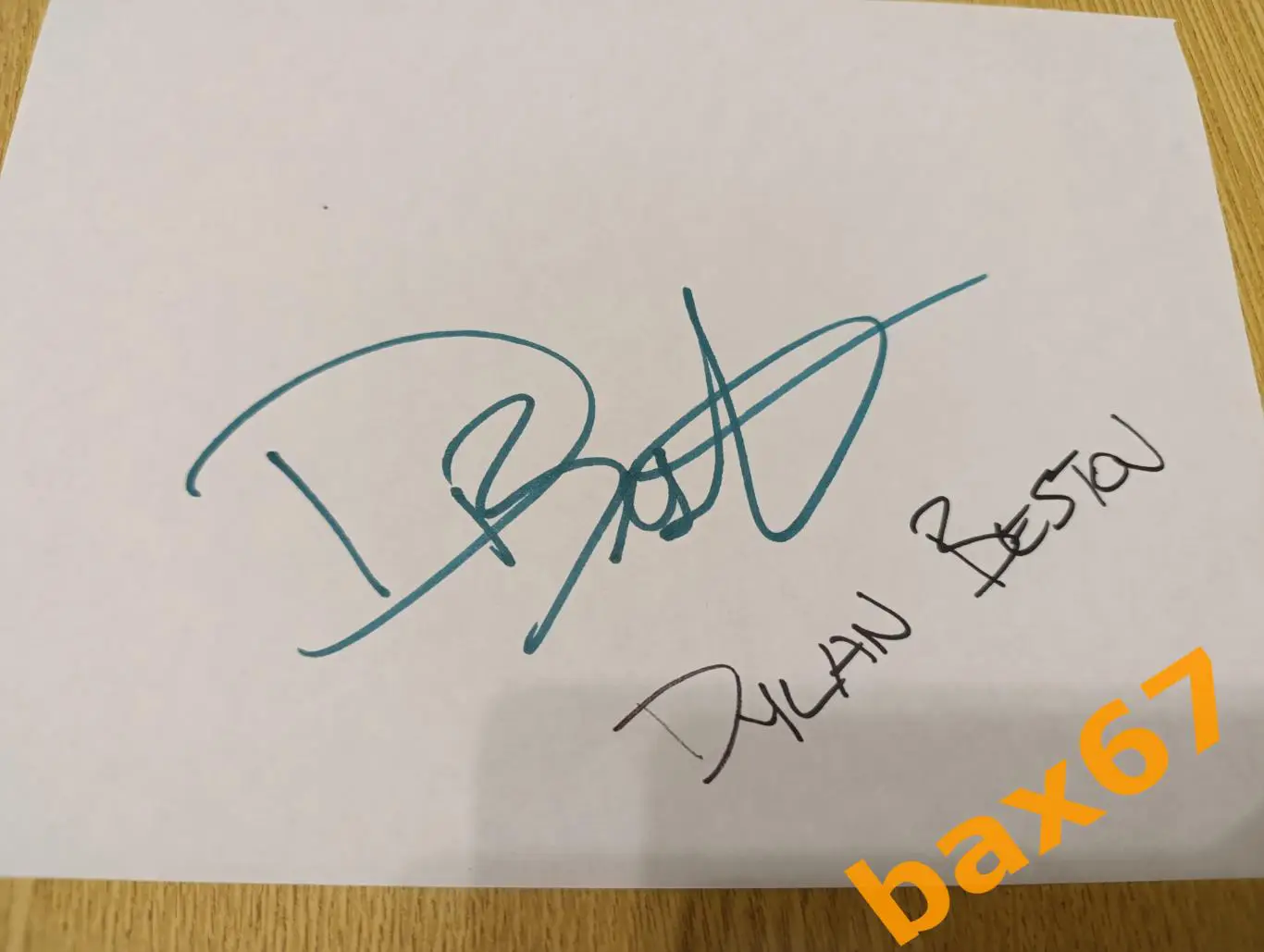 Бестон Дилан, тренер ,Медвежчак Хорватия,Д24