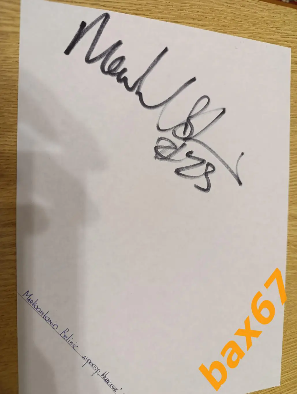 Белинич Марко-антонио, директор ,Медвежчак Хорватия,Д24