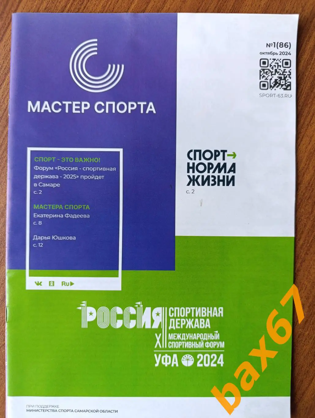 Мастер спорта, Тольятти, Самара, октябрь2024,ы4