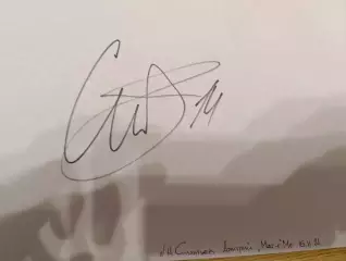 д37,Металлург Магнитогорск,Силантьев Дмитрий