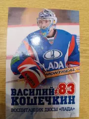 О-13.....Кошечкин Василий.Кубок Гагарина в Тольятти.