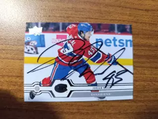 Уил Джордан,Монреаль,Динамо Москва