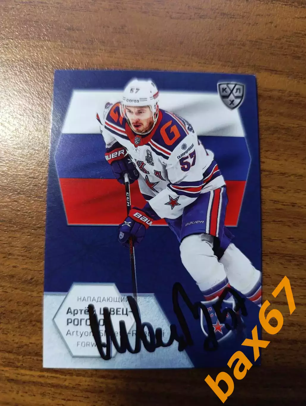 Ска Санкт-Петербург,Швец-Роговой Артем