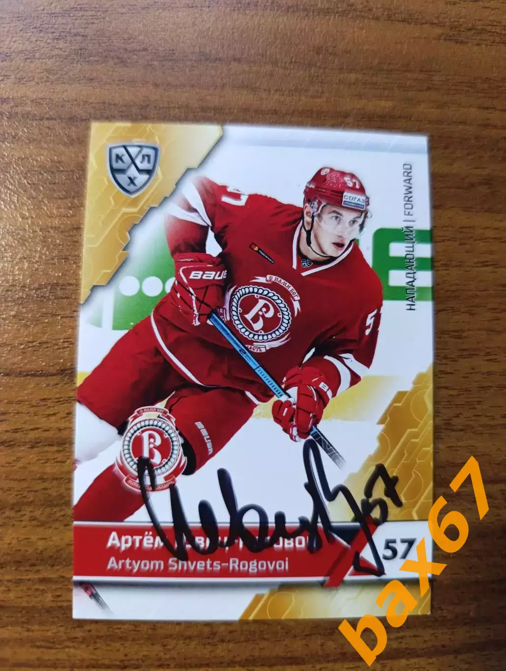 Витязь Московская область,Швец-Роговой Артем