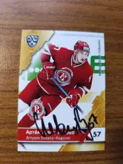 Витязь Московская область,Швец-Роговой Артем