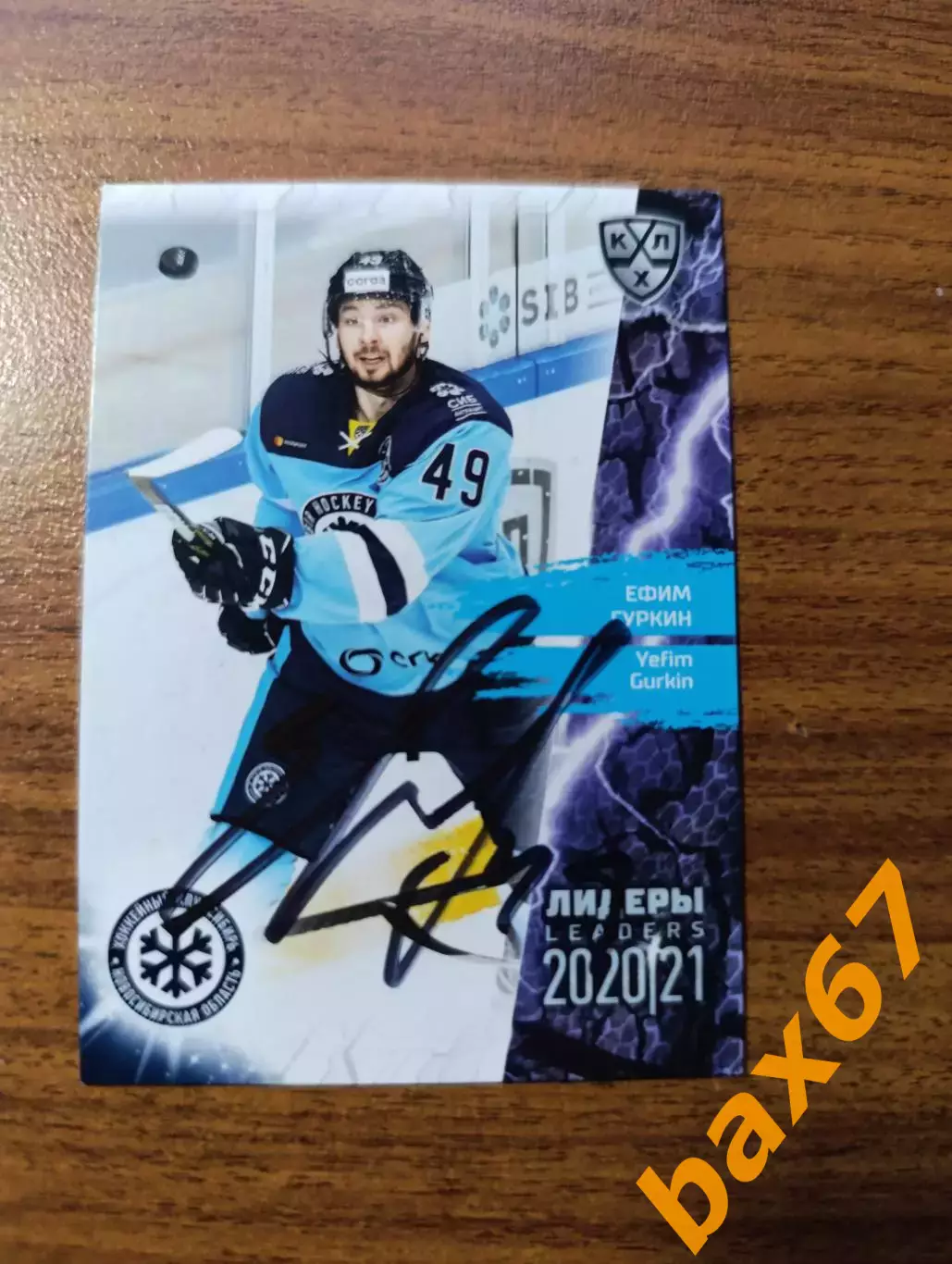 Сибирь Новосибирск,Гуркин Ефим.