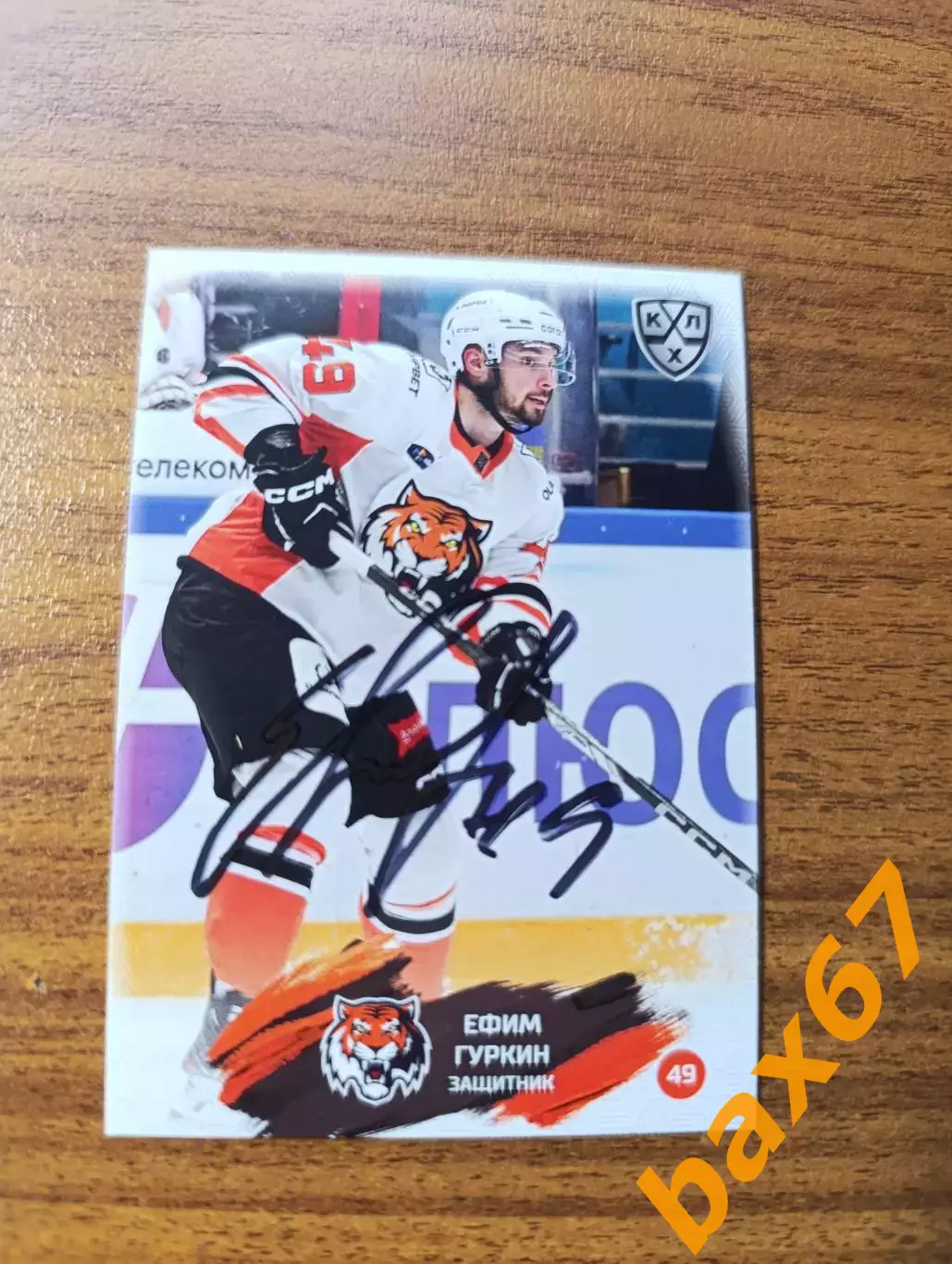 Амур Хабаровск,Гуркин Ефим