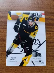 Северсталь Череповец,....,Лишка Адам.