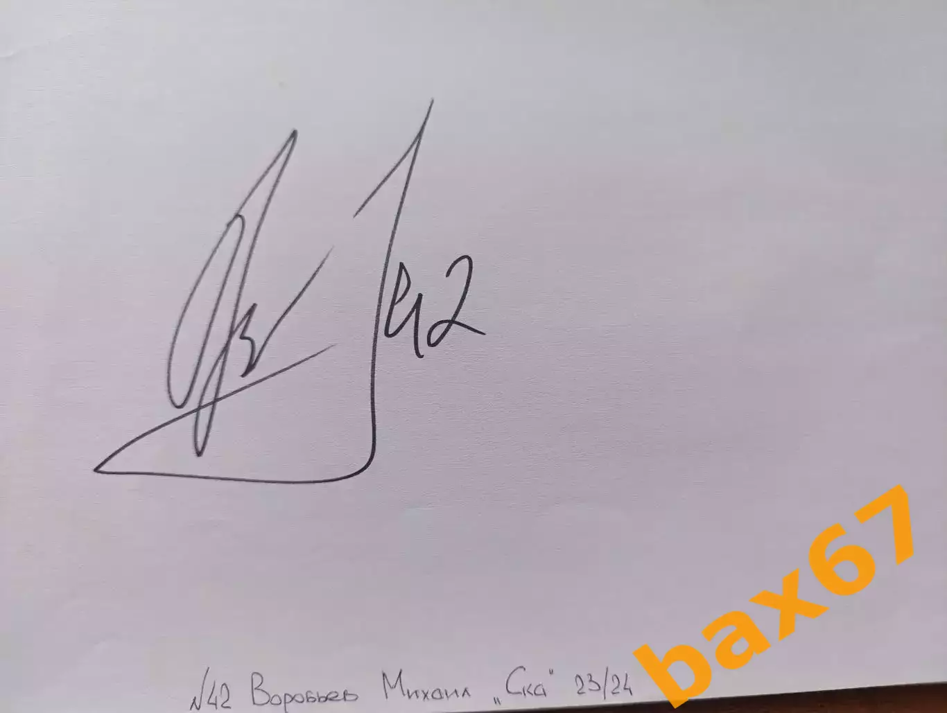 Д57..... Ска Санкт Петербург....Воробьев Михаил