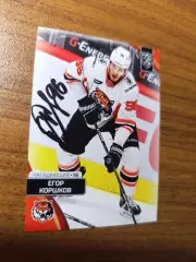 Коршков Егор,Амур Хабаровск