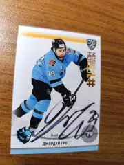 Гросс Джордан,Динамо Минск