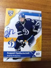 Прибыльский Андрей,Динамо Москва.