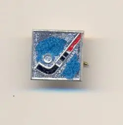 Хоккей с мячом