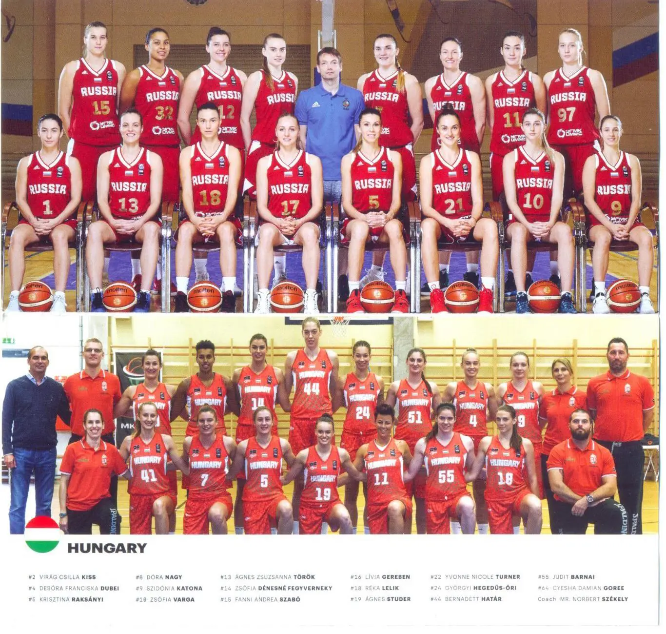 Баскетбол. Женщины. Россия - Венгрия
