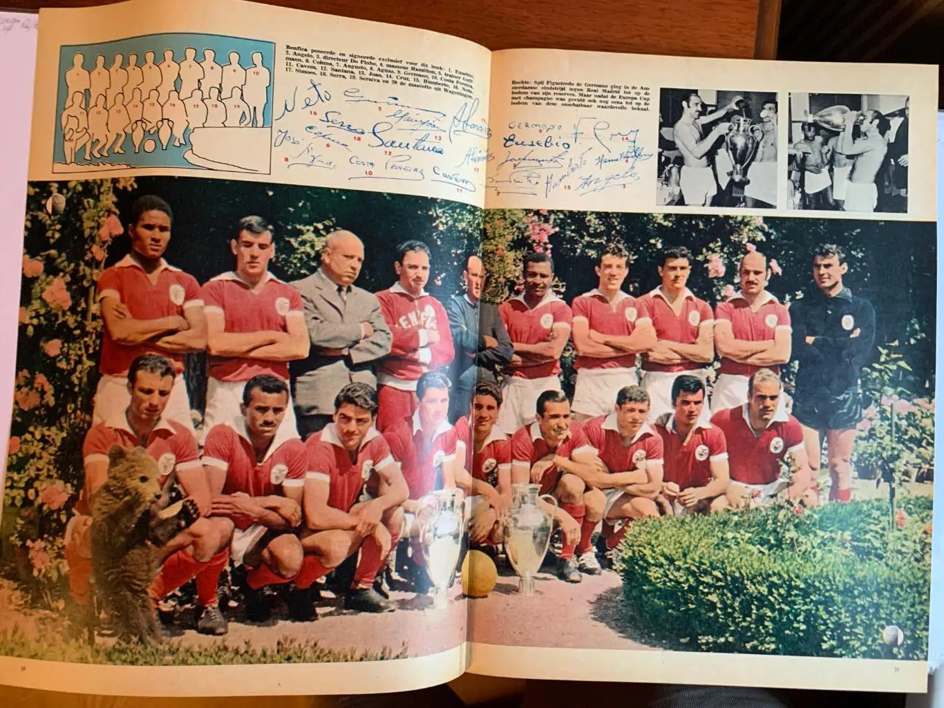 Бенфика лиссабон 1