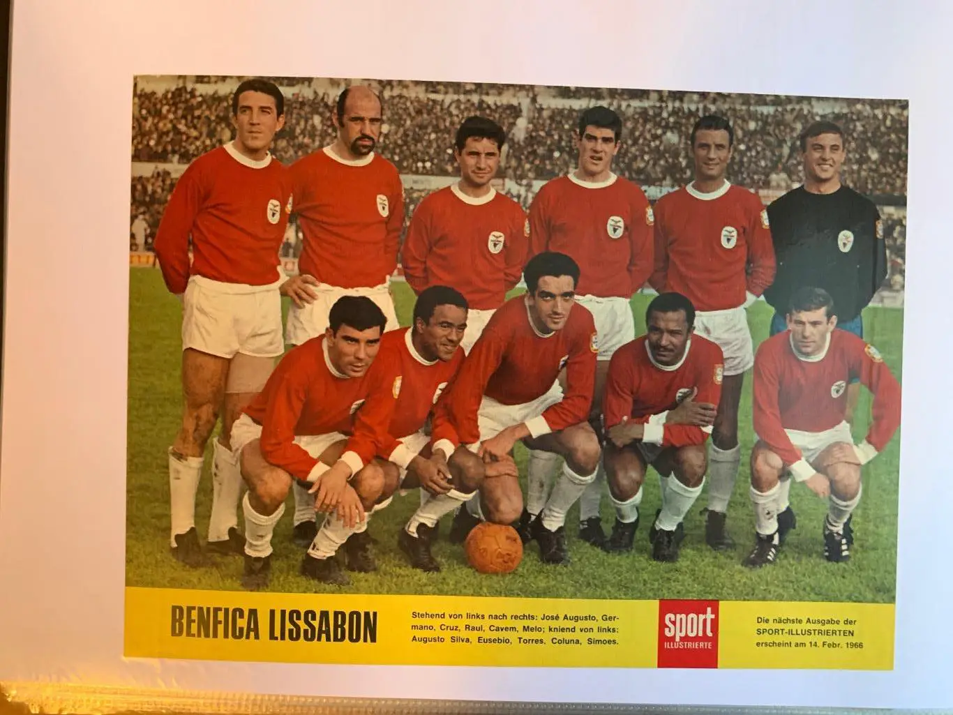 Бенфика лиссабон 3