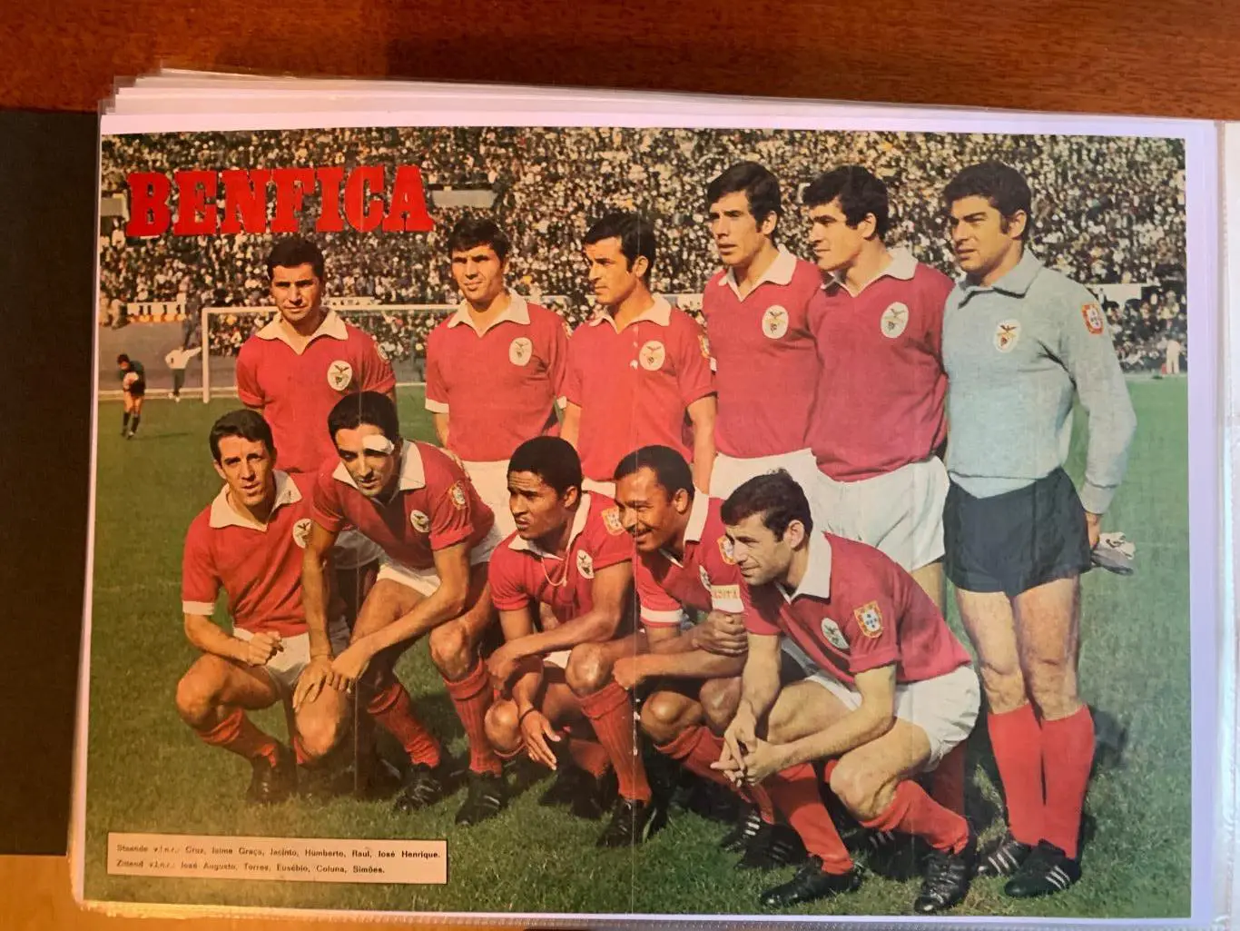 Бенфика лиссабон 5