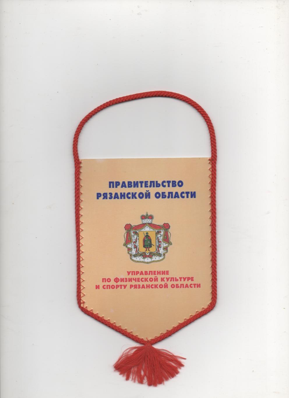 Вымпел. Кожаный мяч средняя возрастная группа (1993 - 1994 г.р) Рязань -2006. 1