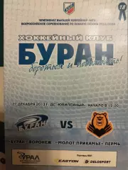 Буран (Воронеж) - Молот-Прикамье (Пермь) 2013/2014
