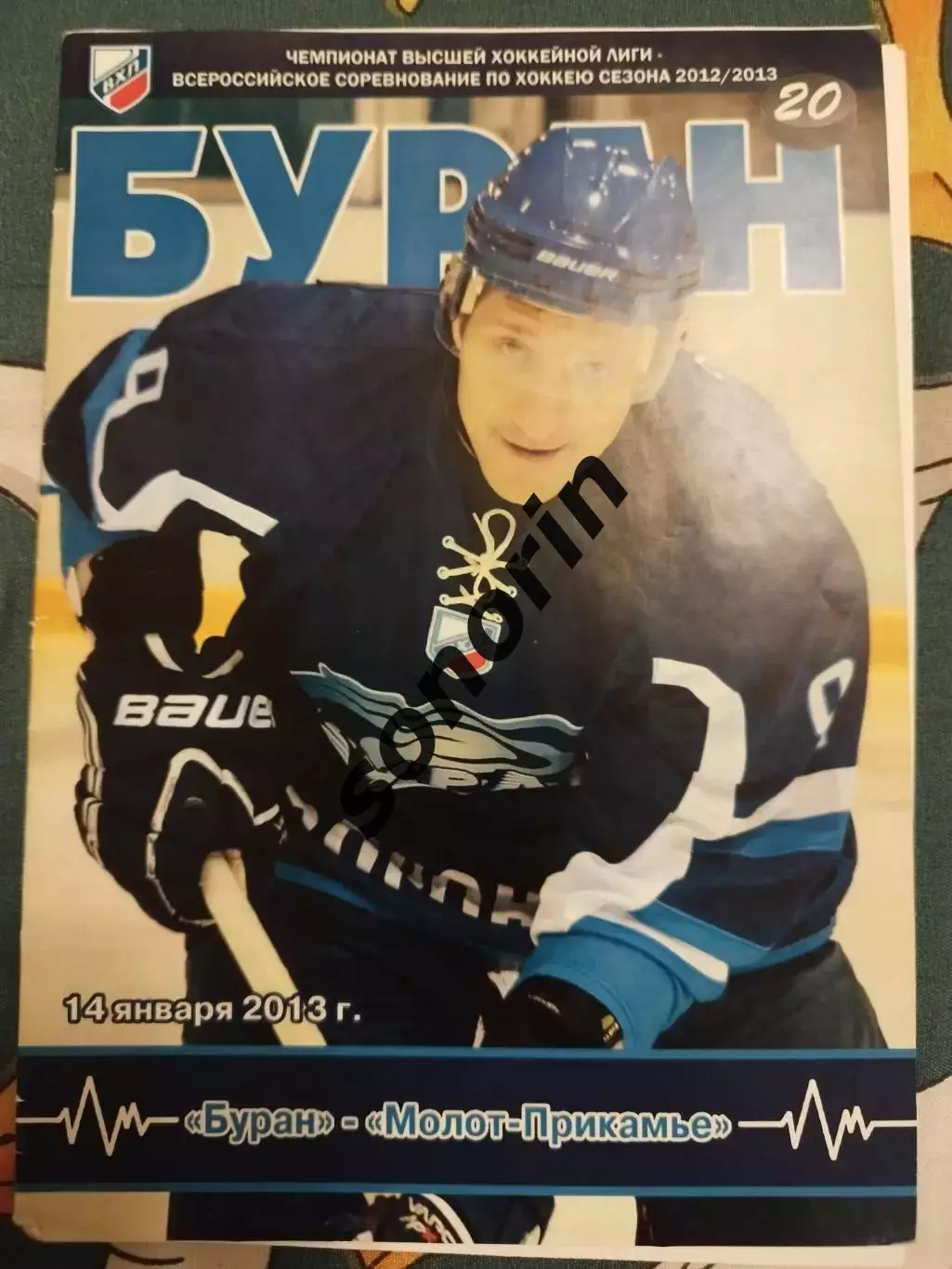 Буран (Воронеж) - Молот-Прикамье (Пермь) 20122013