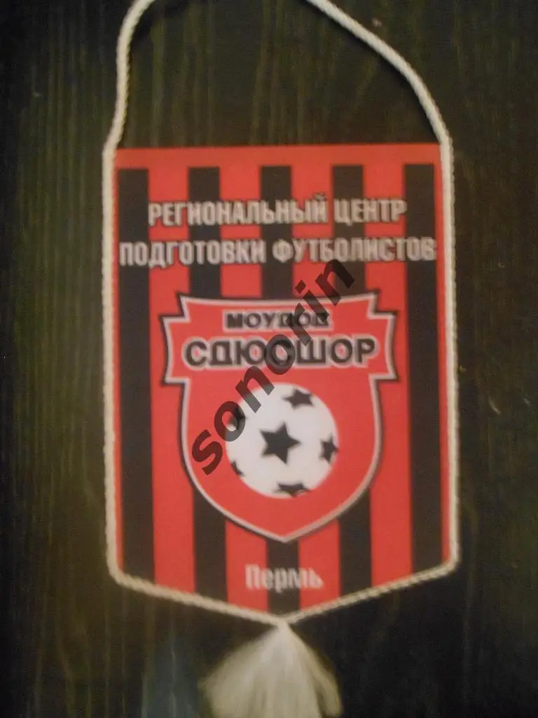 СДЮСШОР Перми по футболу