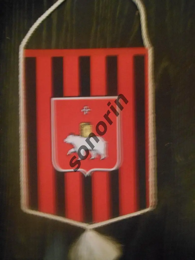 СДЮСШОР Перми по футболу 1