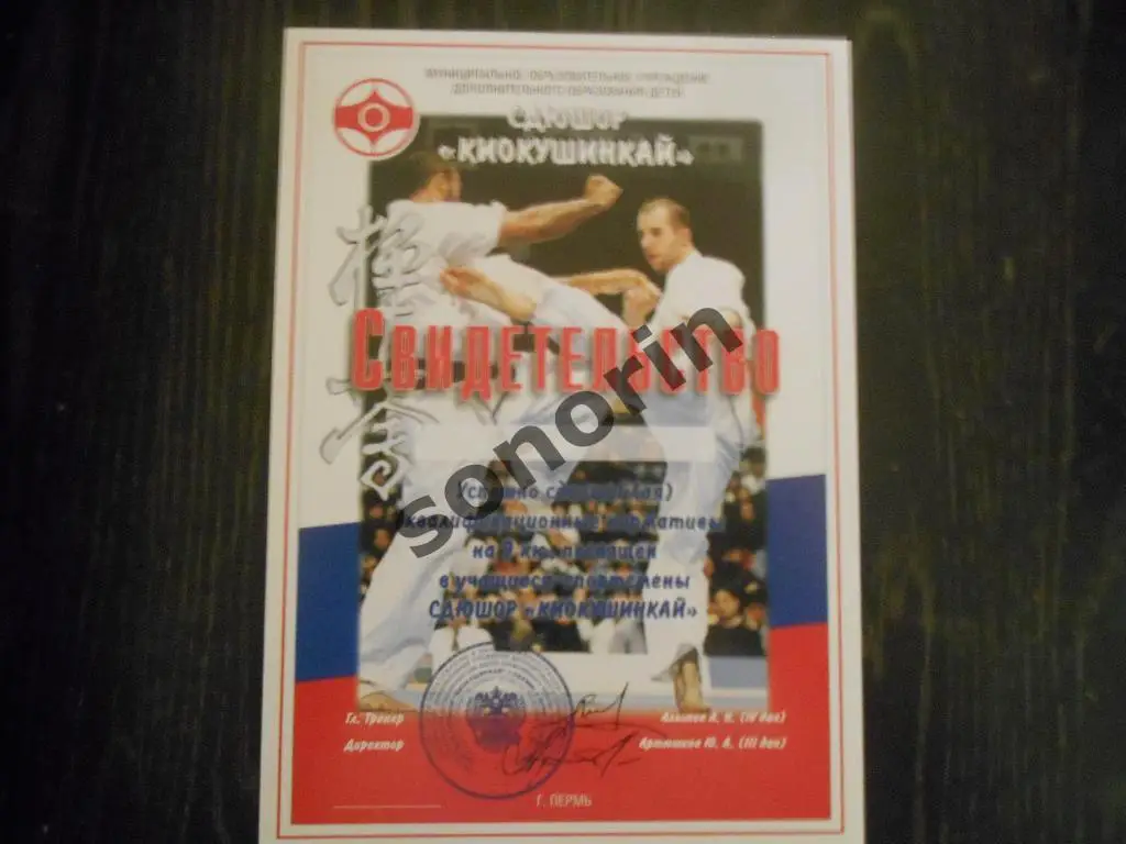Квалификационное свидетельство СДЮСШОР киокушинкай г. Перми