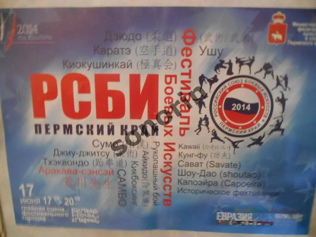 Афиша Фестиваль Боевых искусств Пермь, 2014