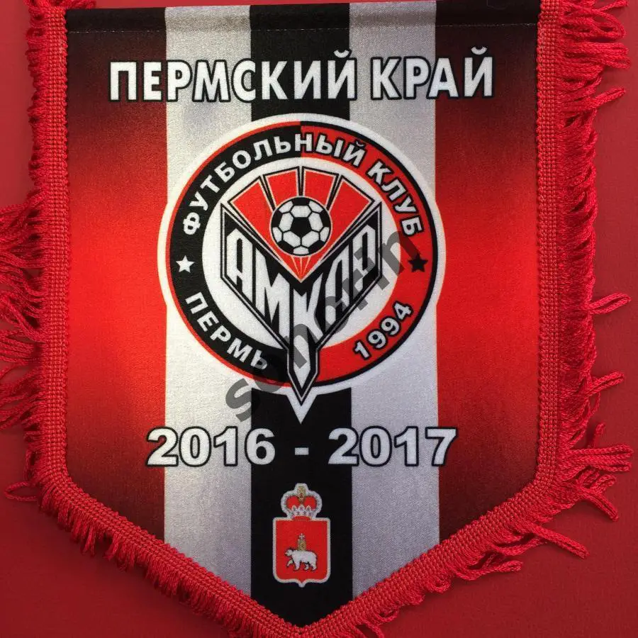 Футбольный клуб Амкар (Пермь) 2016/2017