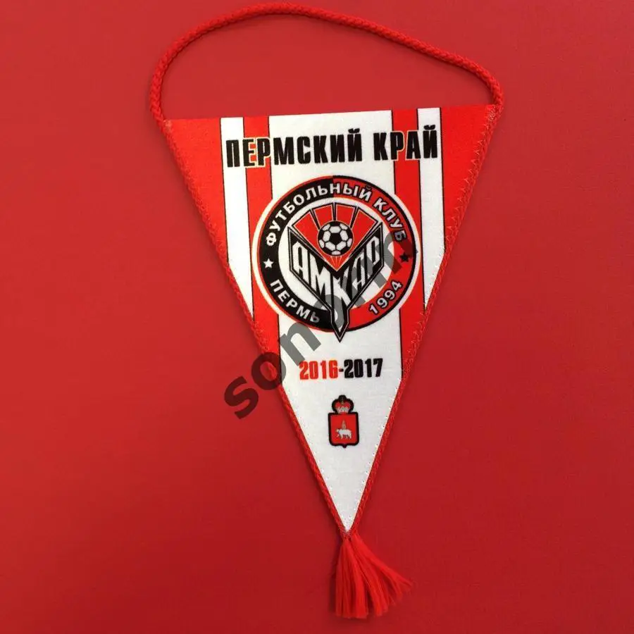 Футбольный клуб Амкар (Пермь) 2016/2017