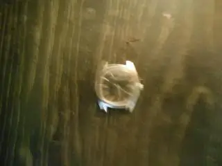 Часы механические