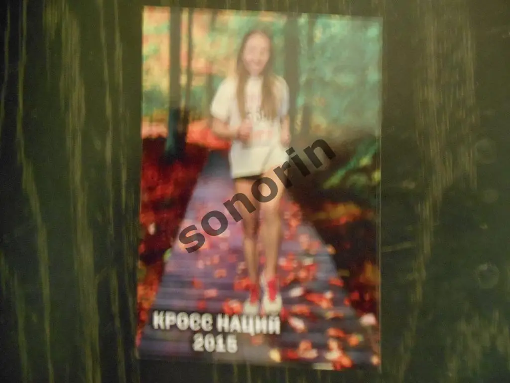 Кросс наций-2015