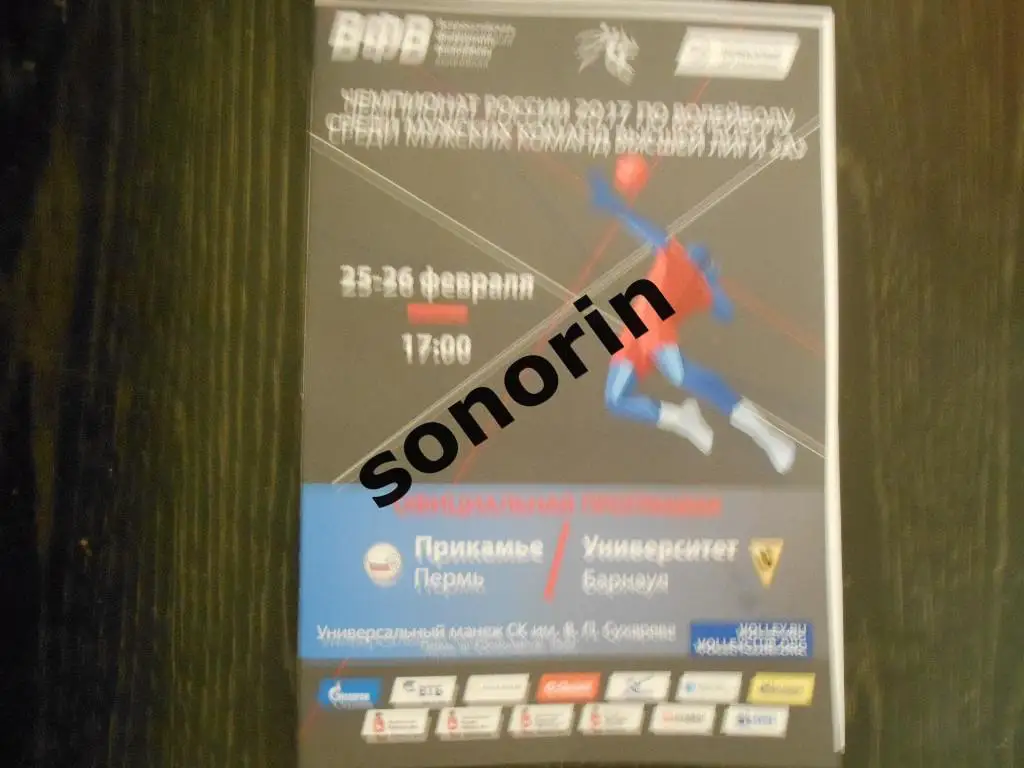 Прикамье (Пермь) - Университет (Барнаул) 2016-2017