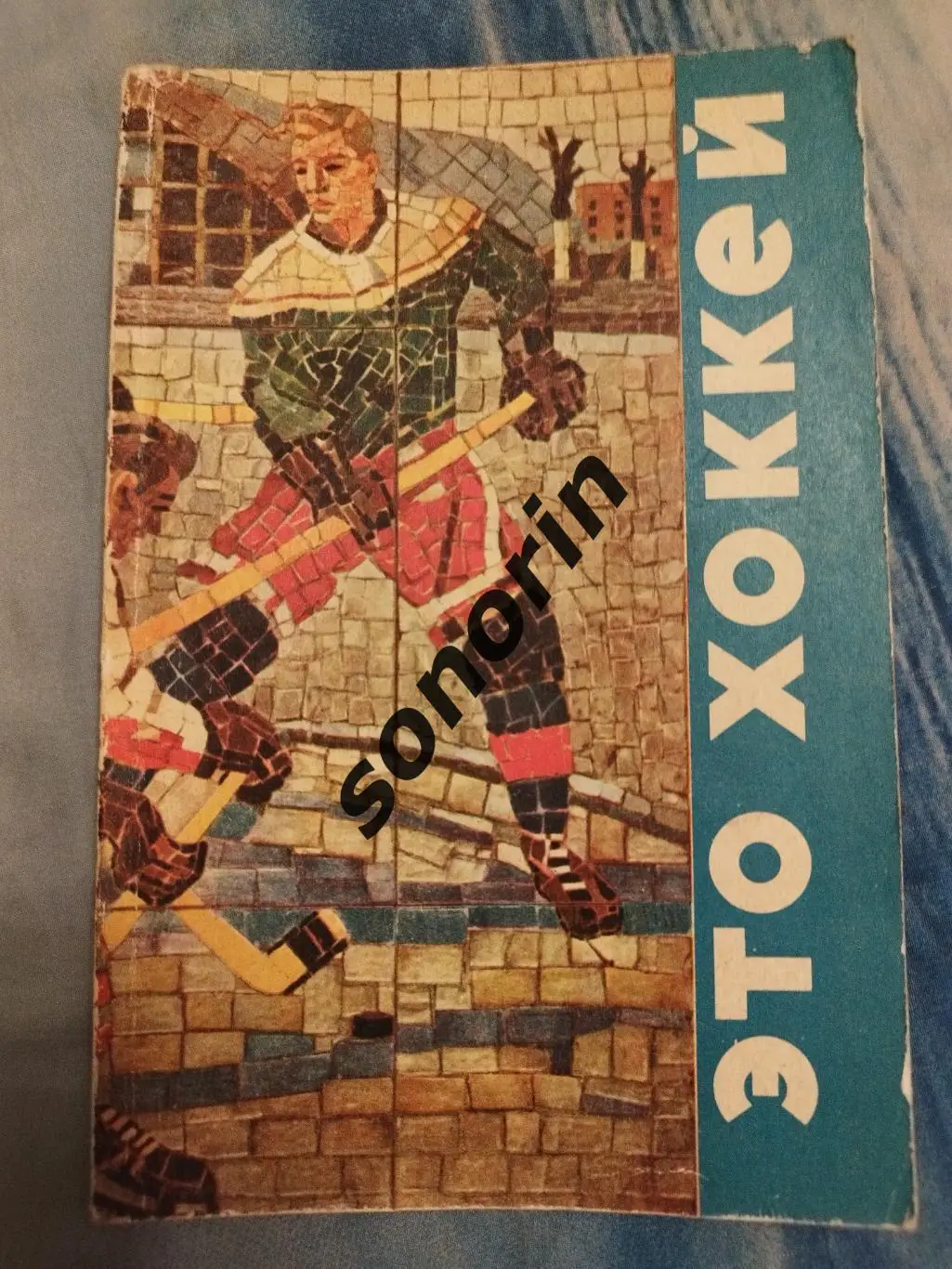 Это хоккей 1