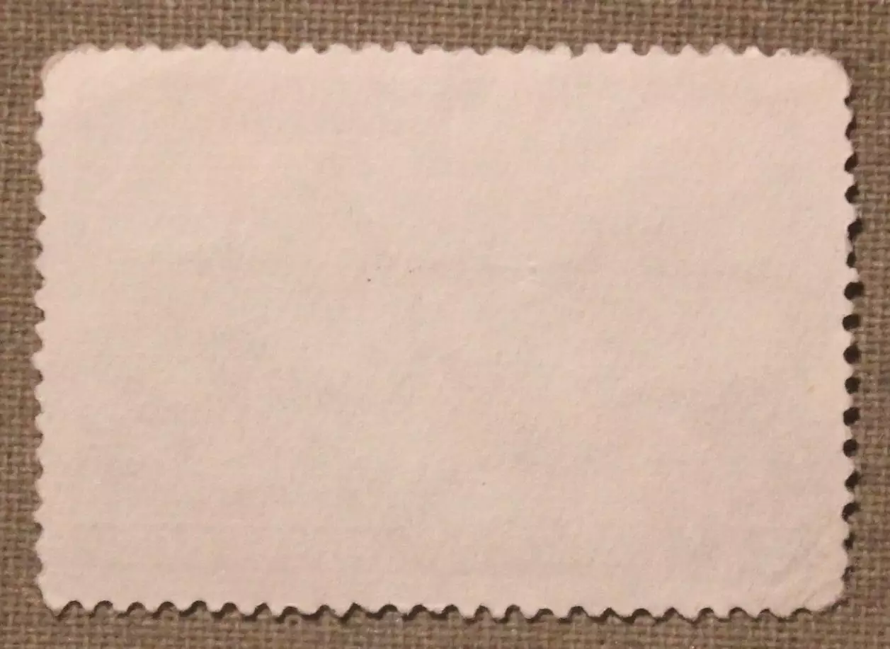 75 лет со дня рождения А.С.Новикова-Прибоя. Почта СССР 1952 1