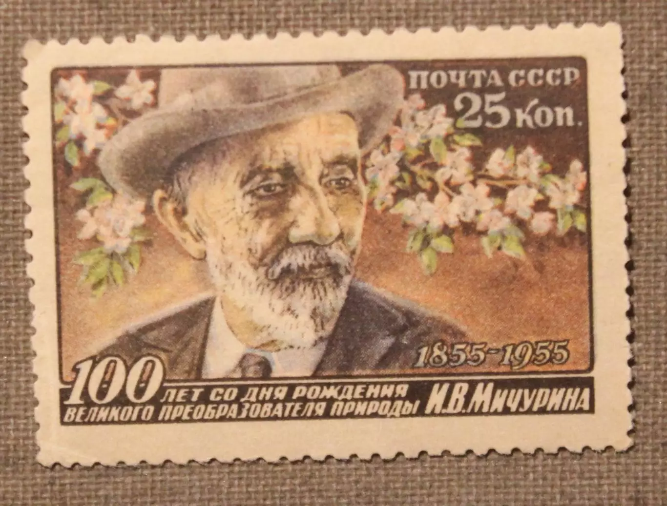 100 лет со дня рождения И.В.Мичурина, номинал 25 копеек. Почта СССР 1956